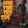 AfroVybe Trip SIDE A By DJ Ashmen